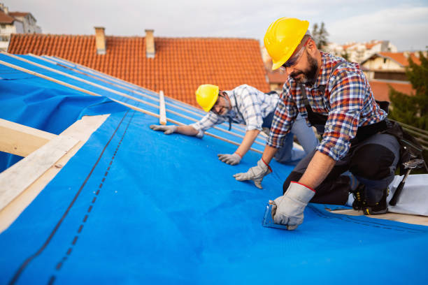 Best Metal Roofing Contractor  in Winters, TX